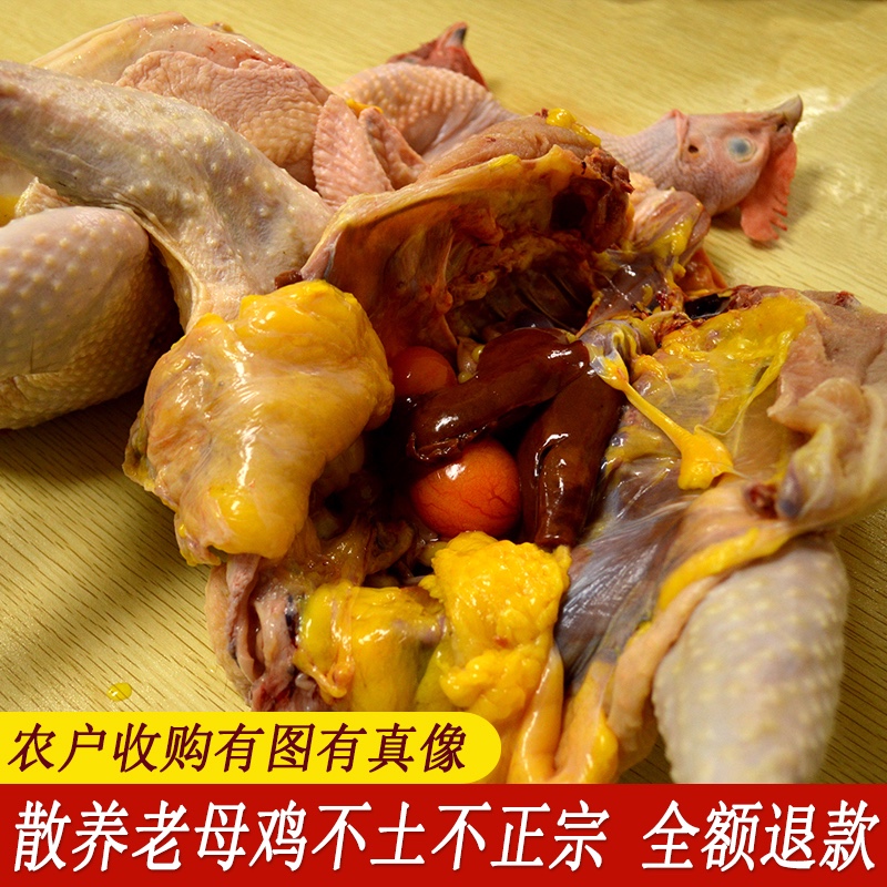 黑脚粮食土鸡本地大公鸡老公鸡现杀发顺丰 本地农机土母鸡一年左右约