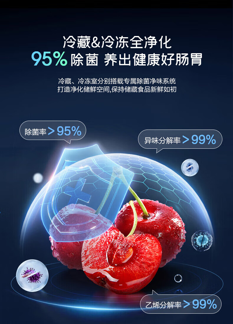 52c7f89b81259ea4.jpg