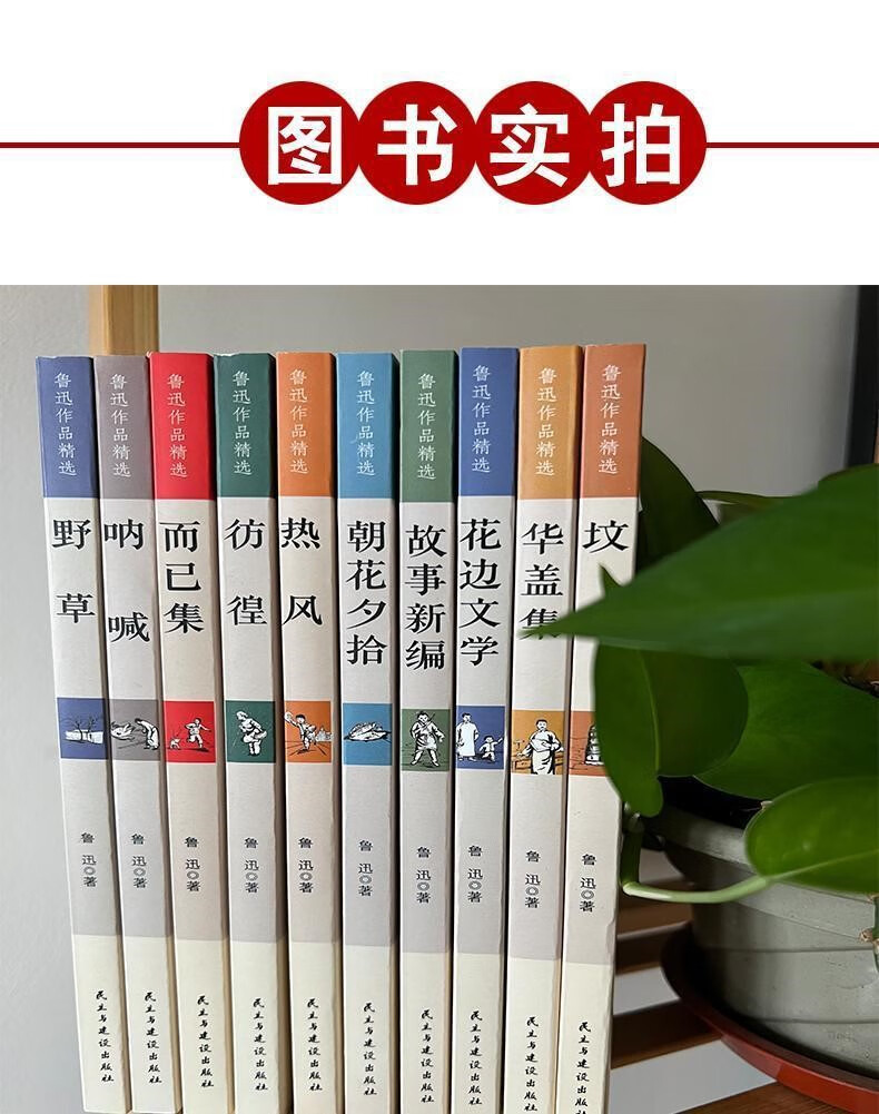 鲁迅全集全10册朝花夕拾故事新编热风10册鲁迅全集彷徨杂文集呐喊野草呐喊彷徨经典作品杂文集 鲁迅全集全10册详情图片14