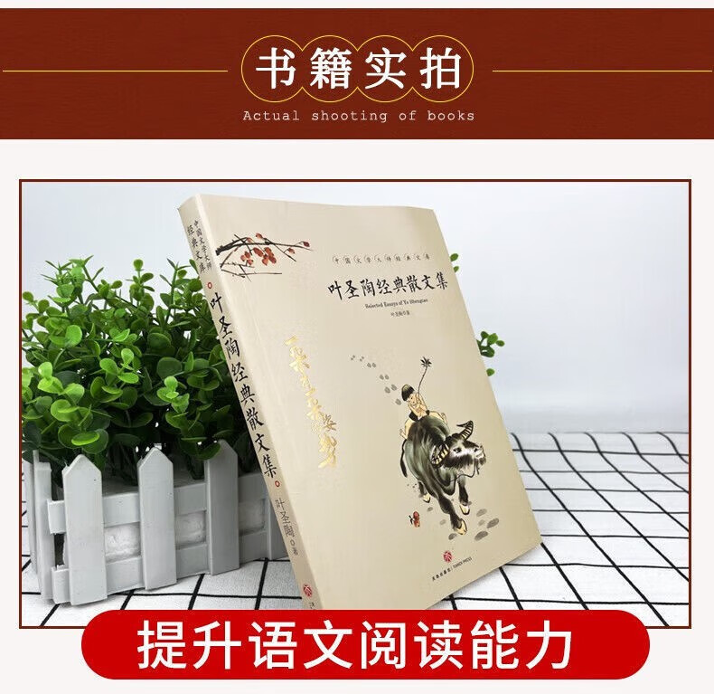 叶圣陶经典散文集童话作品儿童文学全集散文集经典叶圣陶论集书籍语文教育论集当代文学书籍 叶圣陶经典散文集详情图片6