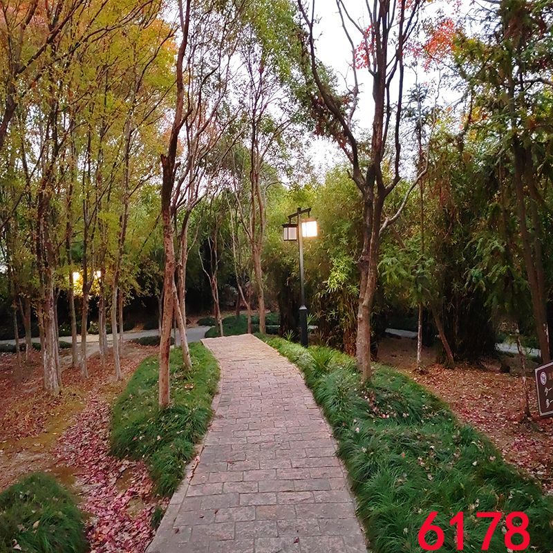c957bcaa41426a33.jpg