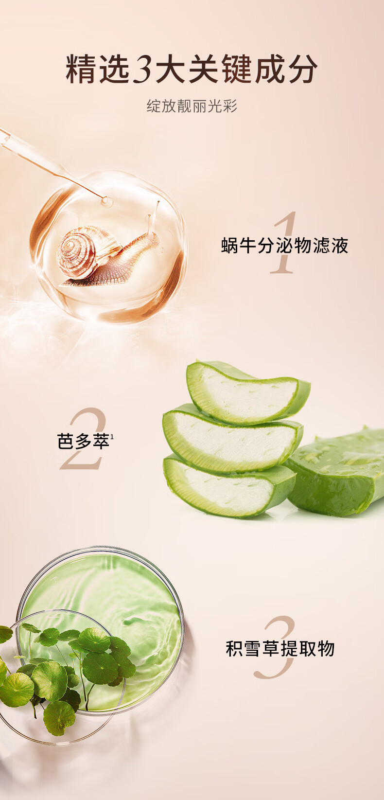 芭芭多（babado）芦荟蜗牛奇肌套装礼盒 水精华洁面水乳保湿护肤品男女 【奇肌全套】水乳霜洁面精华眼霜