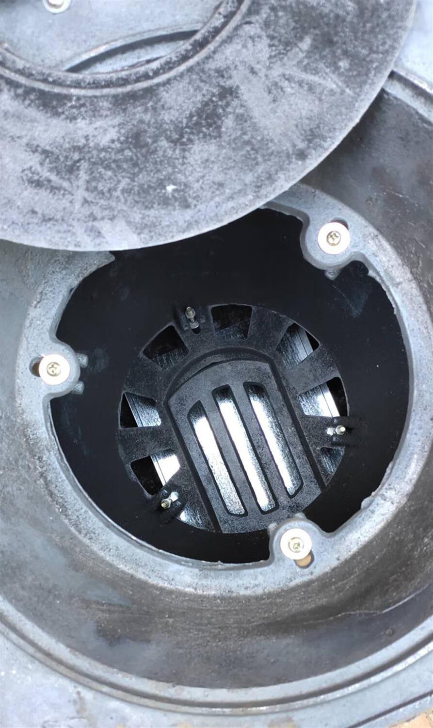 1bb9fbc9-9361-4c40-bc7d-e95c8571ebb8.jpe