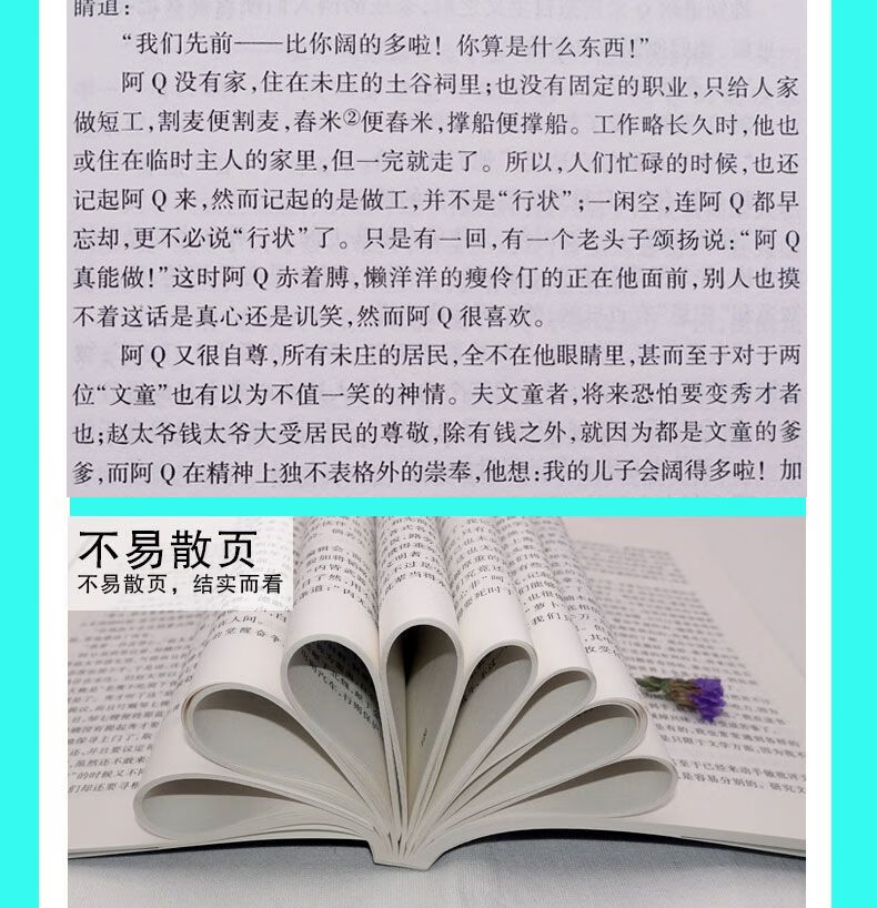 阿Q正传 鲁迅经典文学作品 小学生中正传畅销书籍规格正版学生课外阅读正版畅销书籍 阿Q正传 无规格详情图片8