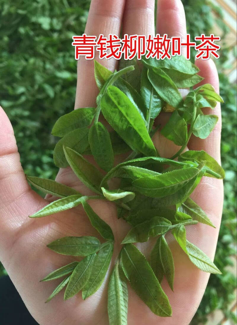 c07f34c773794fb3.jpg