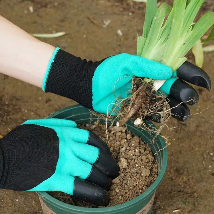 5，挖土手套園林種植發泡園藝防刺浸膠種花透氣防磨盆栽養花防護拔草 防紥丨防刺丨加厚 【紫色2支】