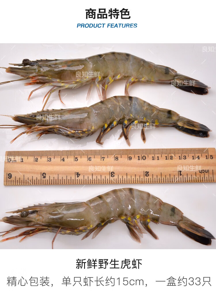 果鲜水香 黑虎虾 新鲜九节竹节虾斑节虾 780g 共12只 单只长约18-21cm