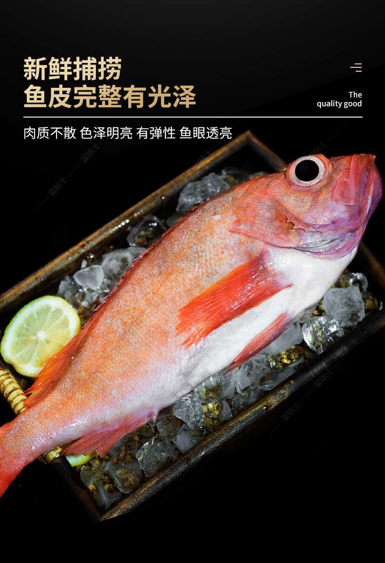 虾滩深海红石斑鱼鲜活冷冻红鱼富贵鱼海鲜一条装