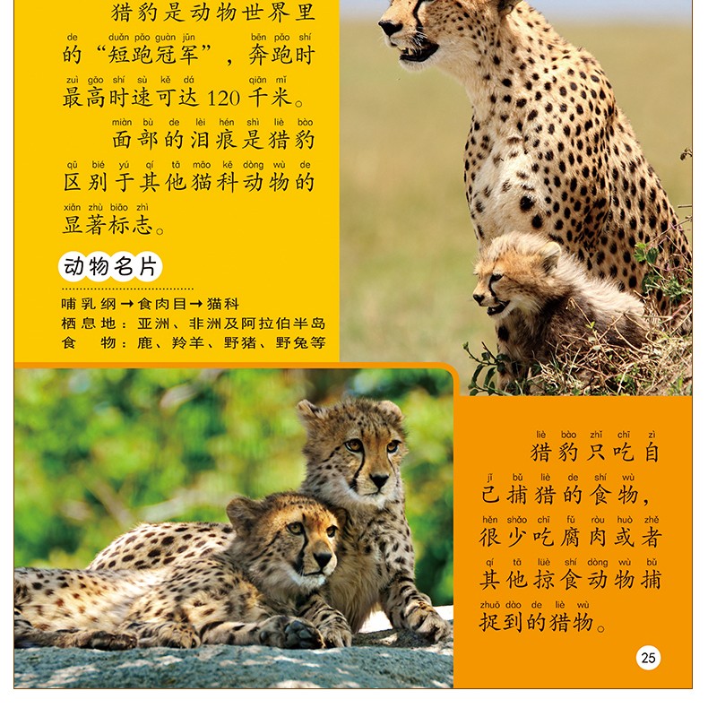 野生动物大百科全书彩图注音版幼儿科普启蒙认知读物适合3 6 12岁小学生的课外书籍 摘要书评试读 京东图书