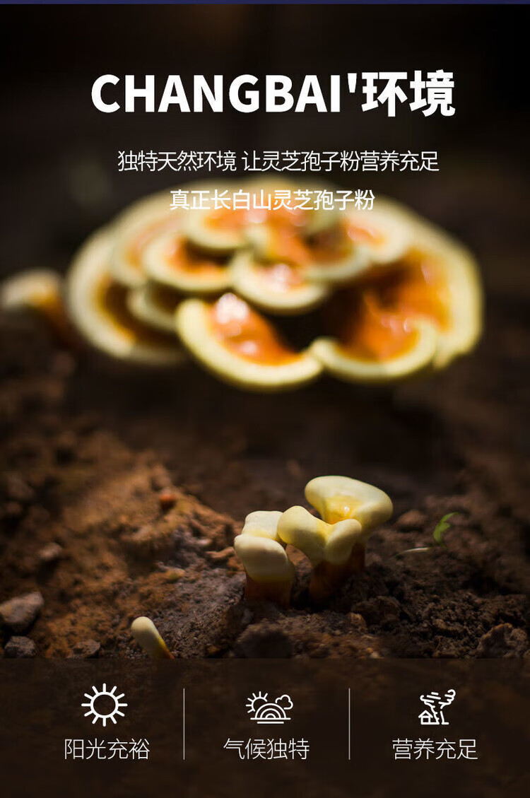 9a2b7f1e57d4aaa0.jpg.avif
