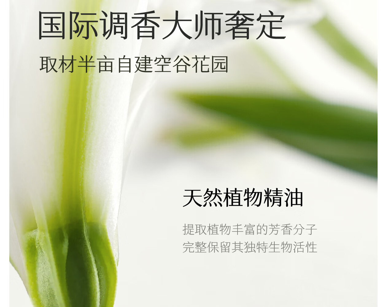 半亩花田（Little Dream Garden） 迪丽热巴同款精油香氛护手霜滋润保湿补水防干裂便携装女 【新升级】三效润护