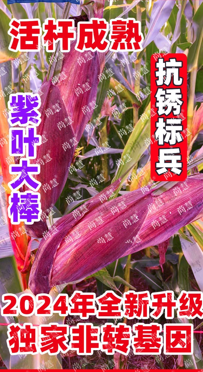 cbf2c66a1c8bd67d.jpg