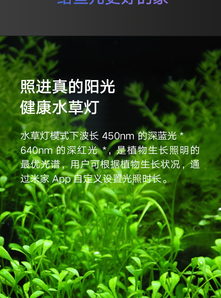 76be206cb1873196.jpg