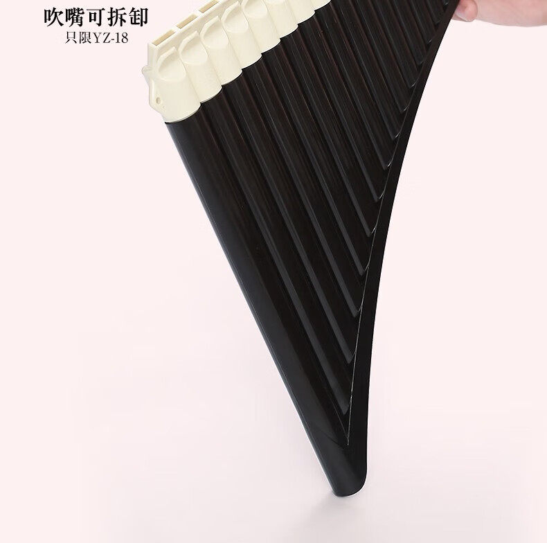 cd657ca36a76209f.jpg