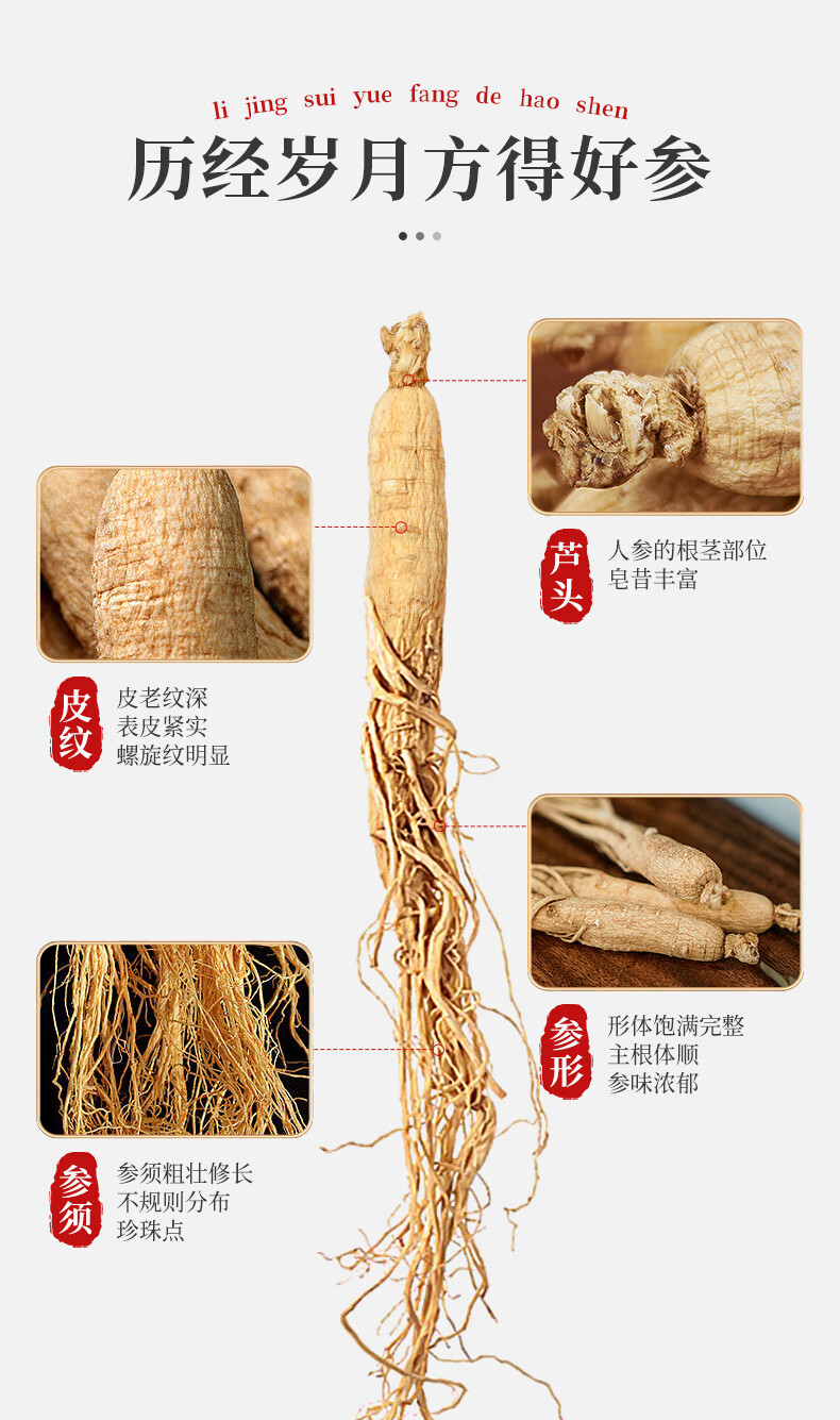 年货好礼长白山人参全须生晒参干参泡酒料非药材富含人参皂苷滋养礼品