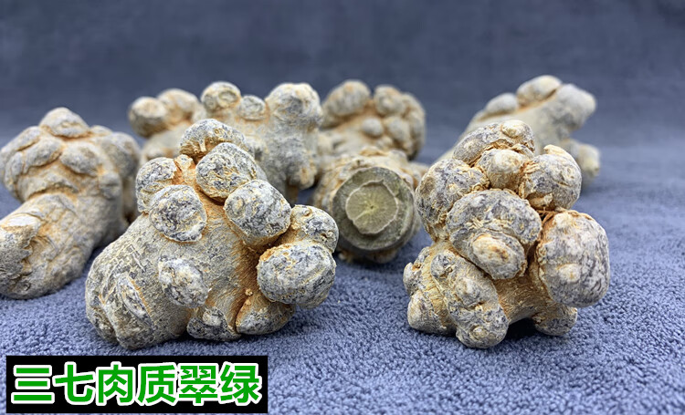 b3666291d4ec9597.jpg