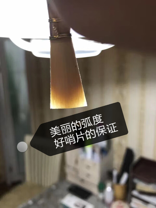 9382829652dfcc9a.jpg