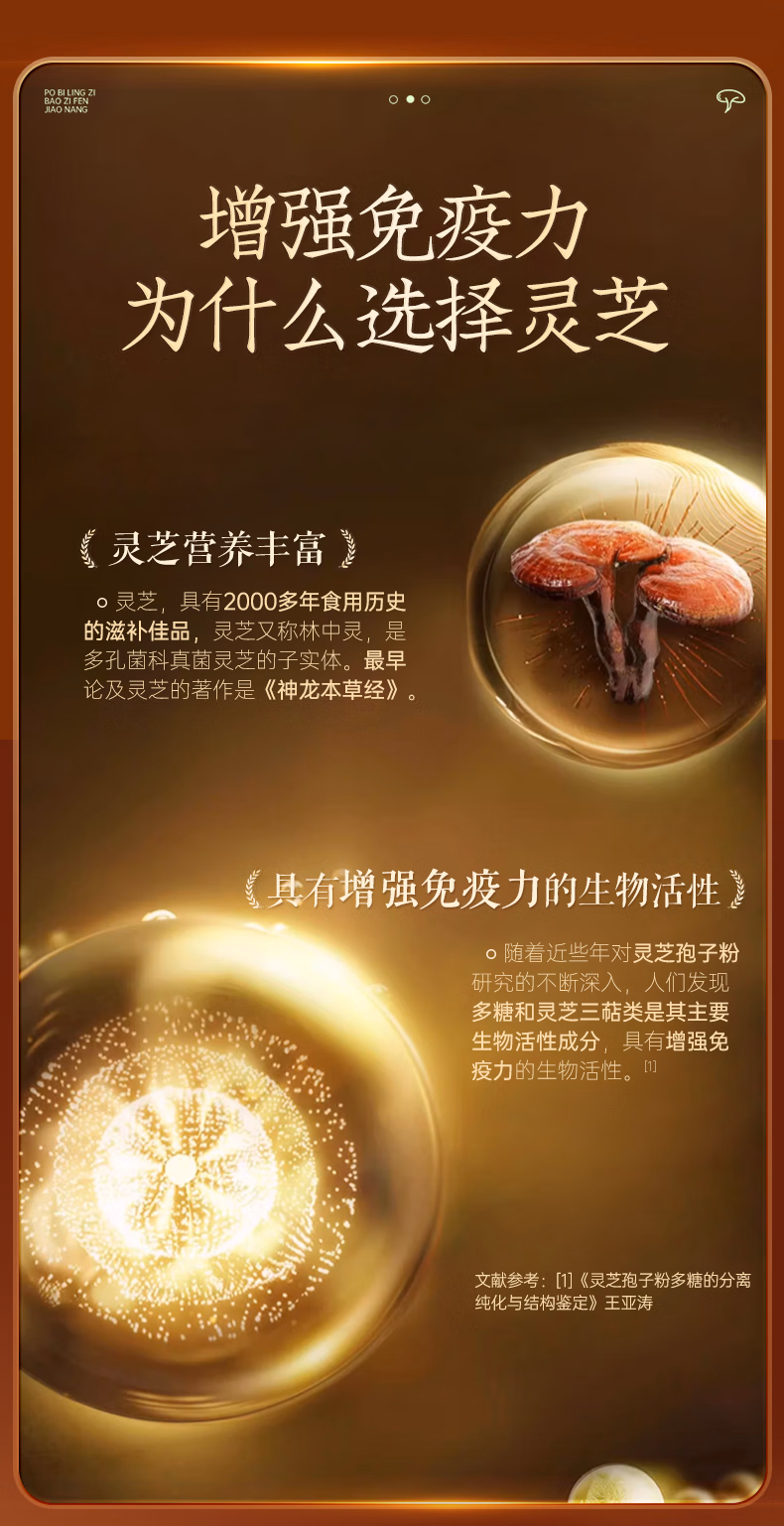 44bd787eb63d9bdd.jpg.avif