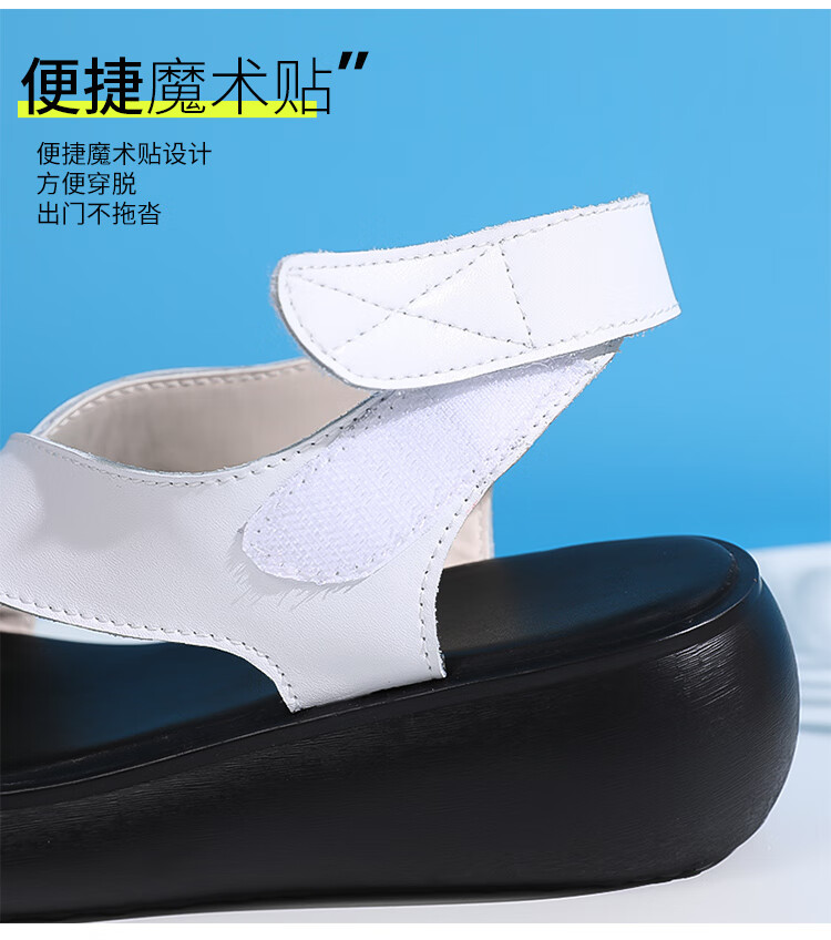 5dcd5a49c46d8af0.jpg