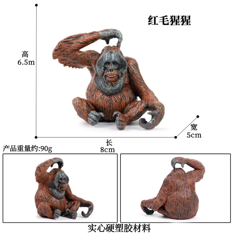 PL127-084红毛猩猩
