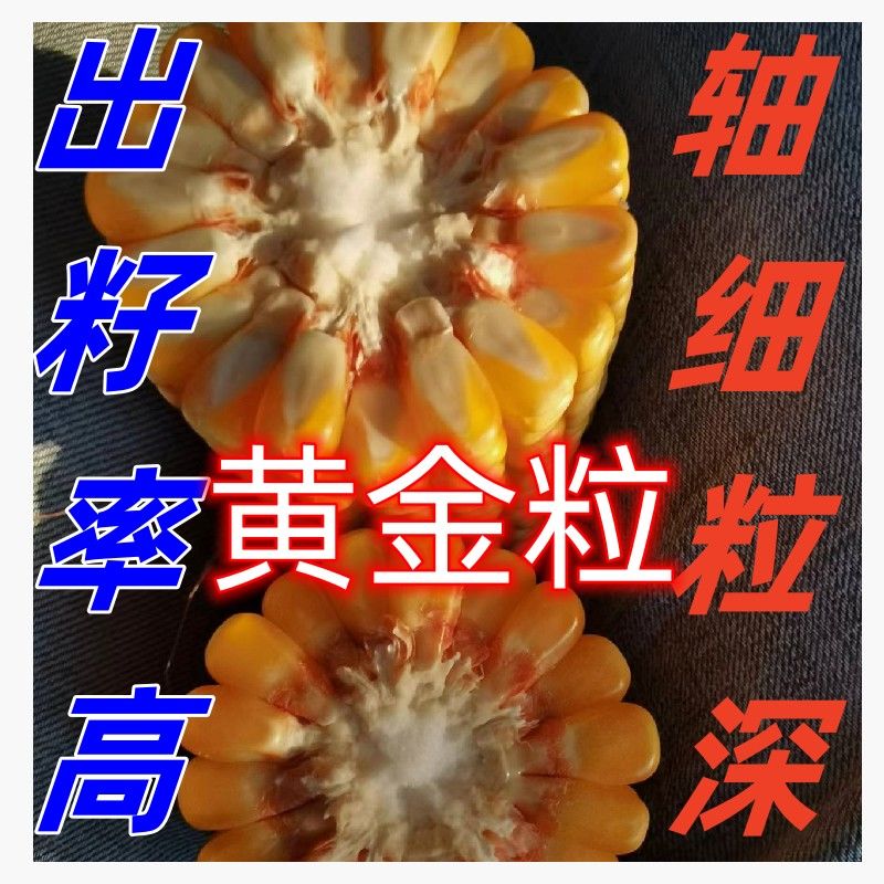 26af8cc25036b37d.jpg