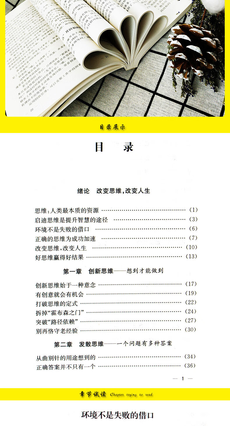 思维风暴 逻辑思维书籍 思维训练书籍思维书籍记忆力训练入门教程 记忆力训练书籍 思维导图 学习力记忆力思维力脑力开发入门教程书 默认规格详情图片9