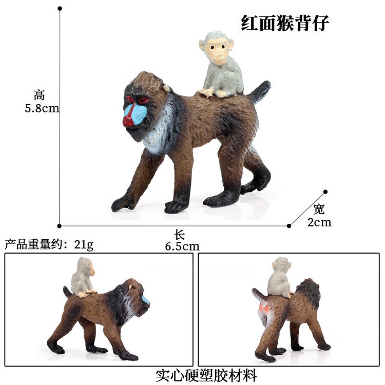 PL127-191红面猴背仔