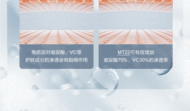 ac26e42a5d82af1e.gif