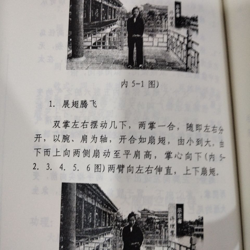 【自营配送】张志顺炁体源流张至顺金刚长寿功八部金刚功米晶子济世