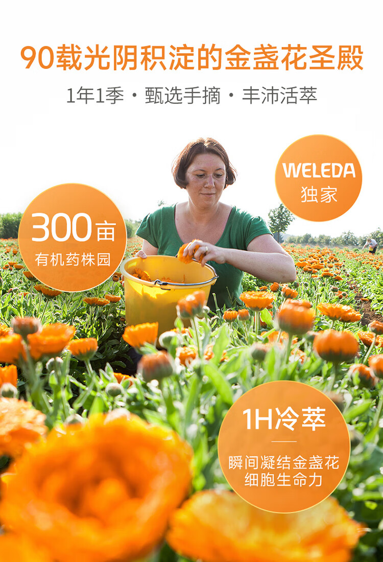 维蕾德（WELEDA）护臀膏婴儿红屁屁屁护臀75ml宝宝weleda屁股修复膏金盏花护臀霜宝宝屁屁膏weleda 屁屁乐75ml+面霜75ml详情图片10