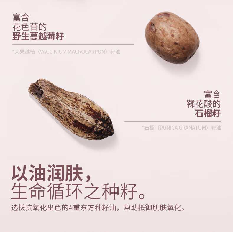 玛丽黛佳种籽气垫贴肤锁妆龙年限定气垫持妆干皮柔光肌滋润粉底(2替换装） 粉金限定C01桃氲（替换芯*2） 45g