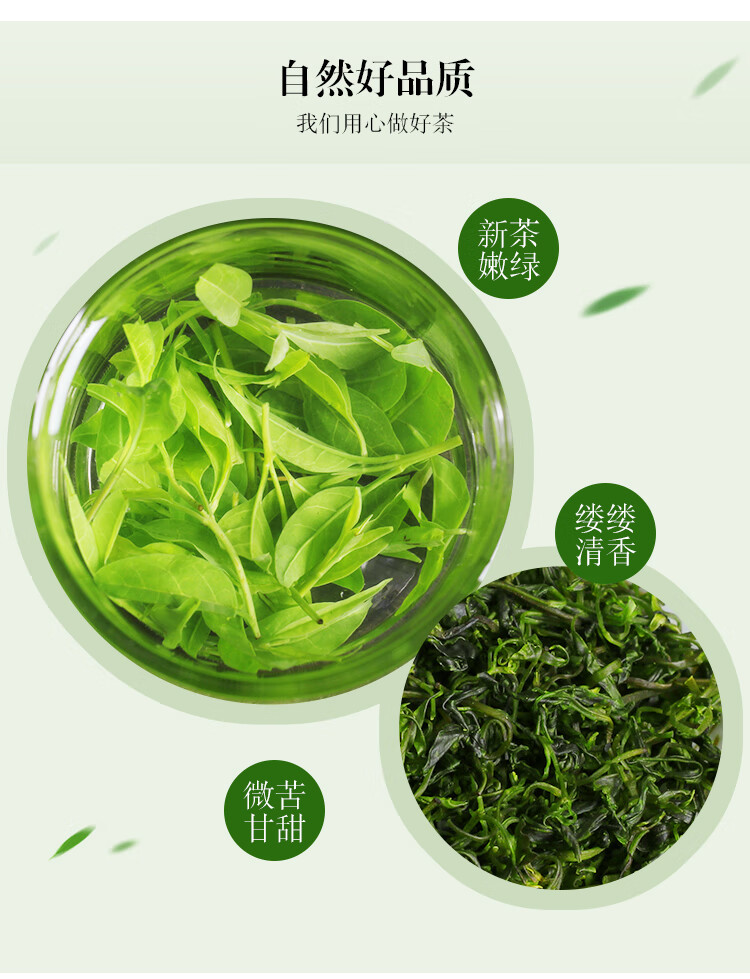 晨臻共2罐装小叶苦丁茶青山绿水四川峨眉山嫩芽花草茶茶叶