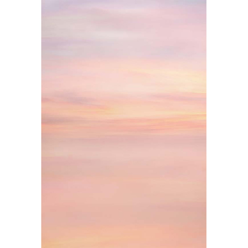 夕阳晚霞火烧云粉色天空主题网红个人写真照背景布油画布影楼摄影拍照