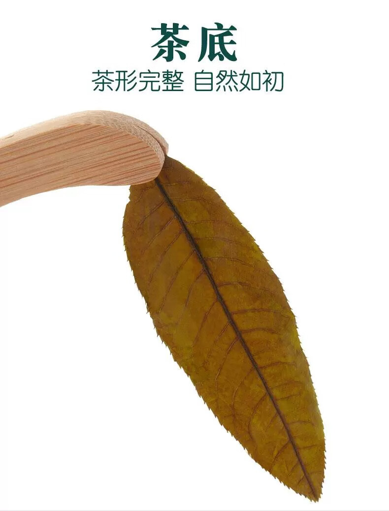 3ef2ac89e0306805.jpg