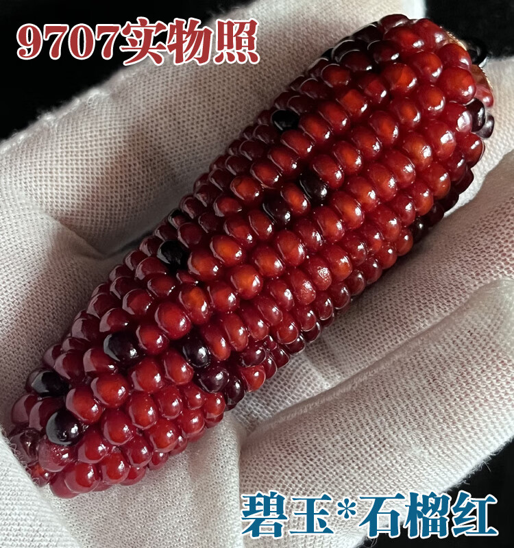 ae73291b7f847154.jpg