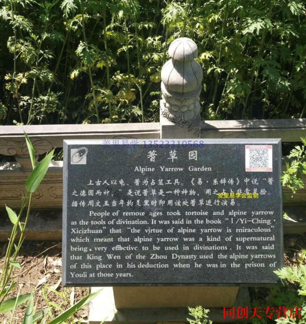 4，蓍草卦簽 蓍草正宗蓍草籌策蓍草羑裡蓍草籌策工具文王蓍草卦大衍 4mm團購教學版 推廣版