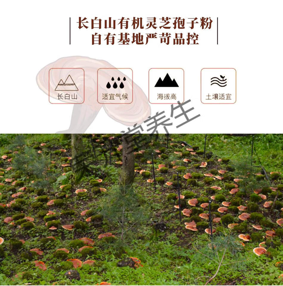 b25791abc7677c9e.jpg