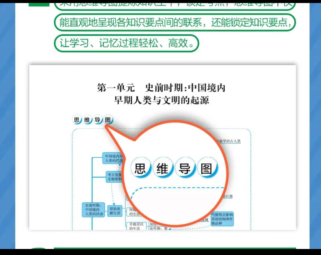 【初中小四门】初中基础知识及考点突破四门生物法治政治历史历史地理生物道德与法治 【小四门】政治+历史+地理+生物 无规格详情图片5