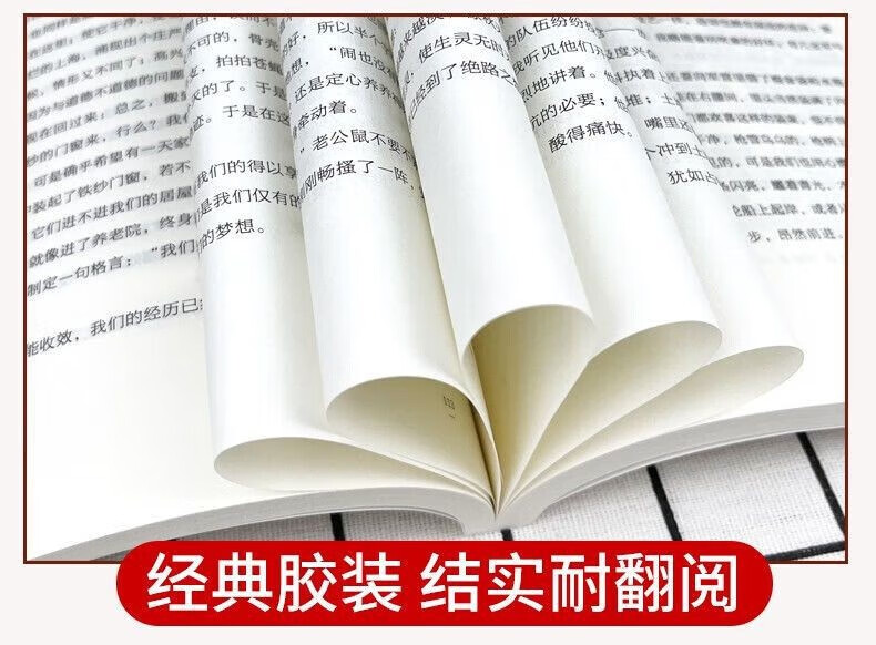 叶圣陶经典散文集童话作品儿童文学全集散文集经典叶圣陶论集书籍语文教育论集当代文学书籍 叶圣陶经典散文集详情图片7