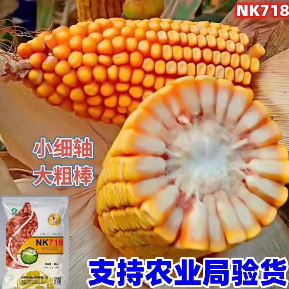 2c4edb02afa40c6f.jpg