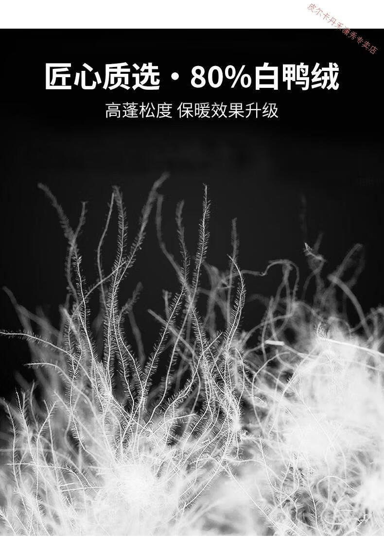 2c4edb02afa40c6f.jpg