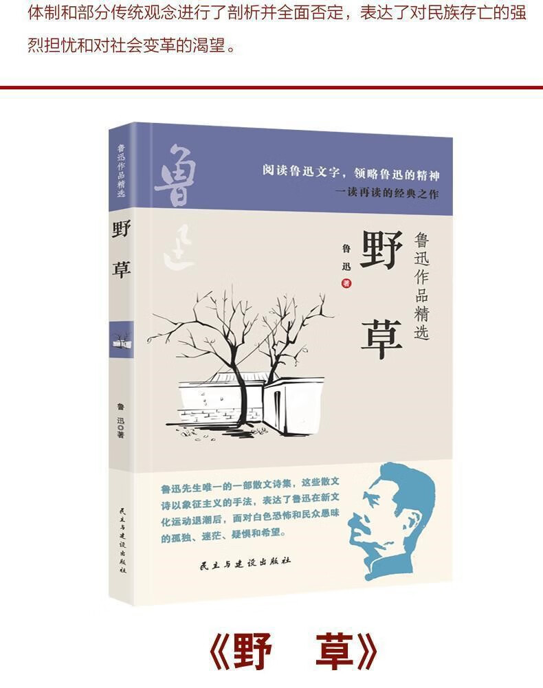鲁迅全集全10册朝花夕拾故事新编热风10册鲁迅全集彷徨杂文集呐喊野草呐喊彷徨经典作品杂文集 鲁迅全集全10册详情图片9