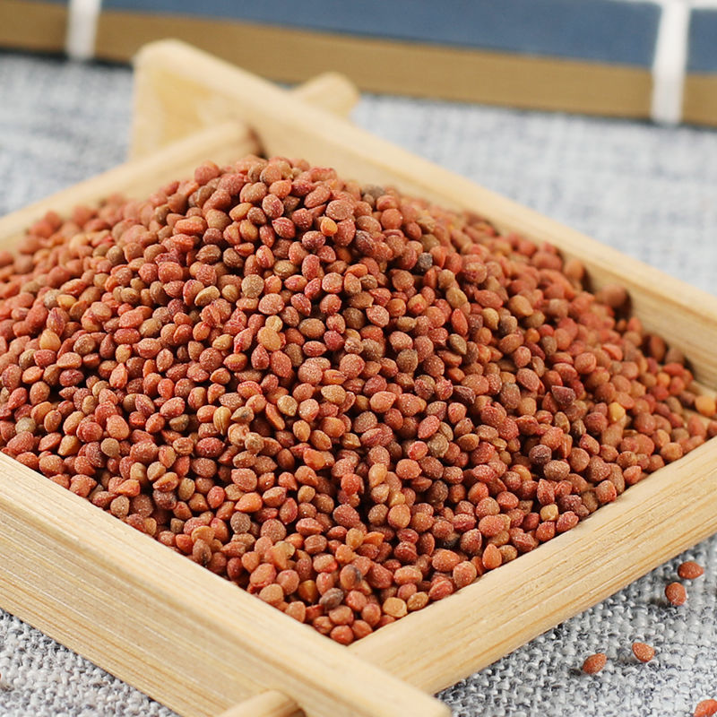 褚实子中药材褚实子 褚实米 槠实子 新货500克【图片 价格 品牌 报价