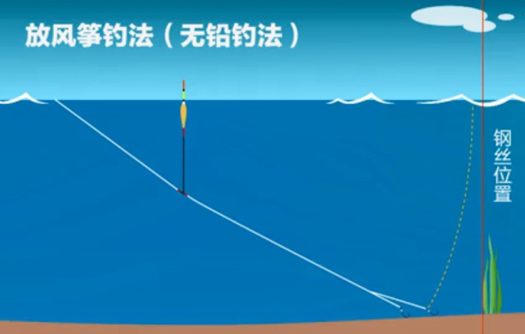 t003无铅自立芦苇鱼漂浮漂塘见怕加粗青鱼跑铅大物漂芦苇无铅漂t0032