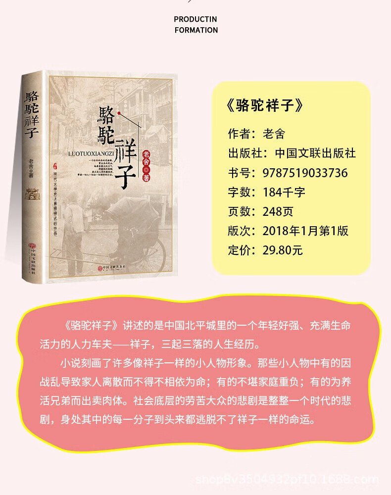 【严选】海底两万里无删减骆驼祥子老舍骆驼祥子初中完整七年级原著完整初中7七年级朝花夕拾 骆驼祥子详情图片1