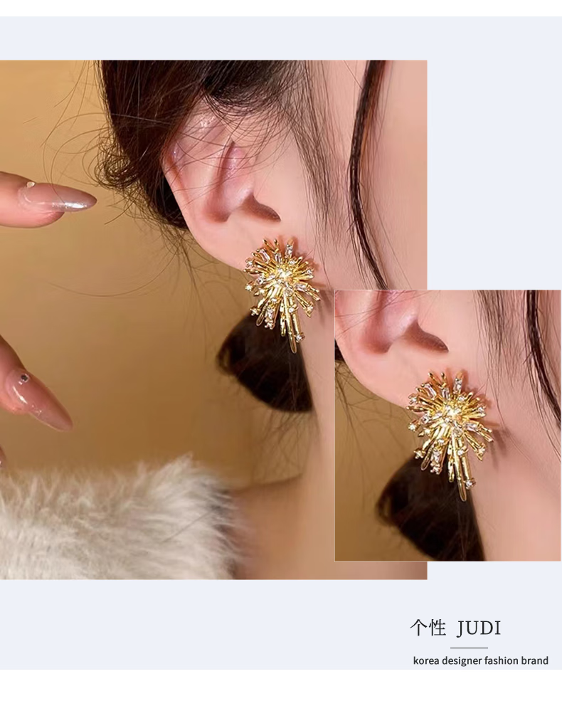 judi夸张大耳钉女银针个性时尚轻奢耳环女2024新款气质高级感小众耳饰