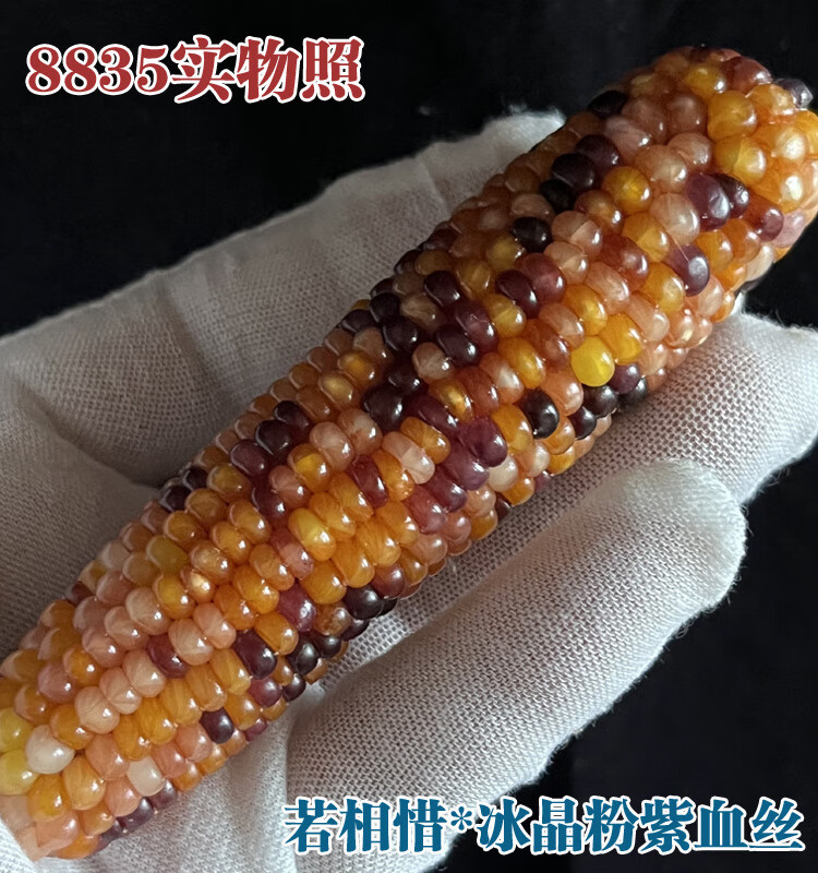 9336ef8faec187c0.jpg
