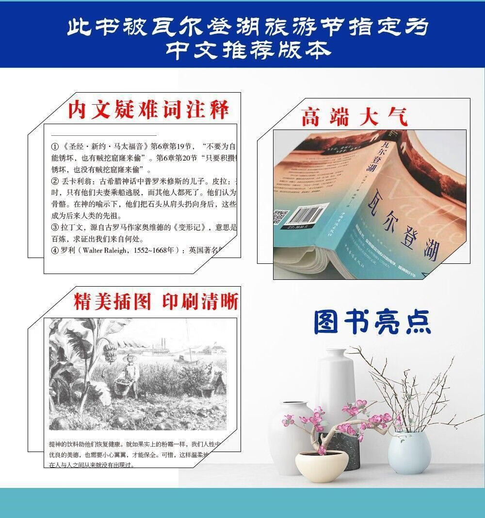 瓦尔登湖正版梭罗名家全译本外国现当代读物书籍尔登菜根课外经典小说课外阅读物书籍 瓦尔登#菜根谭详情图片3