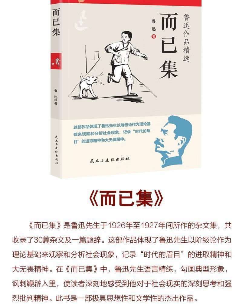 鲁迅全集全10册朝花夕拾故事新编热风10册鲁迅全集彷徨杂文集呐喊野草呐喊彷徨经典作品杂文集 鲁迅全集全10册详情图片13