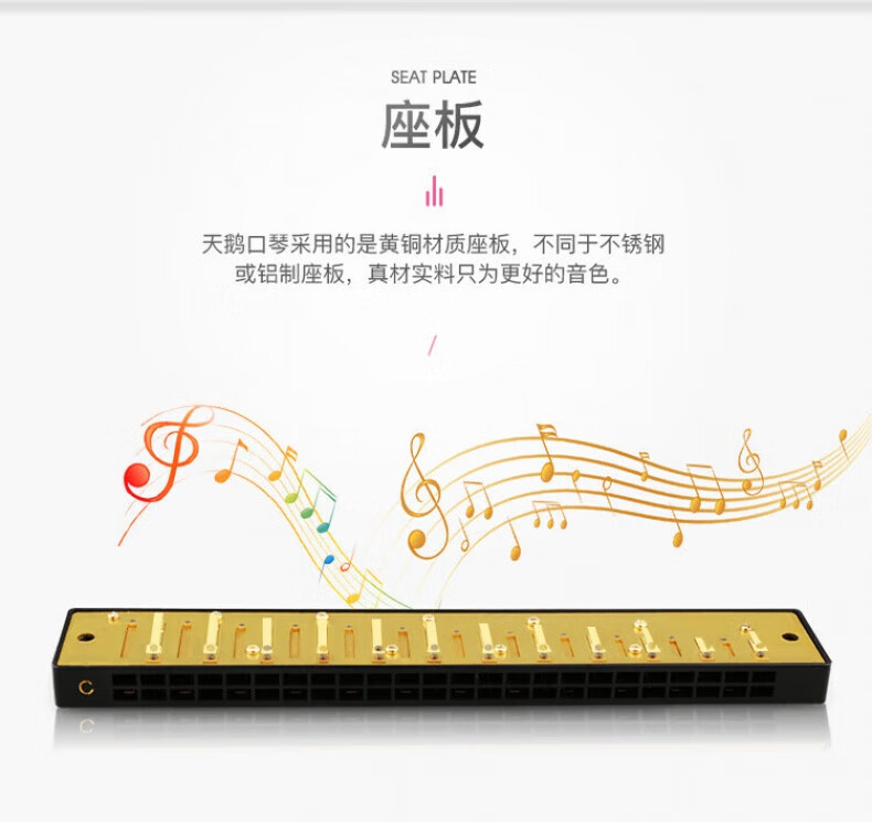 fd3a761321adbec0.jpg